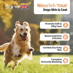 DOGSLIFE Salmon Oil lašišų aliejus šunims, 1000 ml — 3 nuotrauka