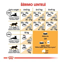 ROYAL CANIN Maine Coon 31 sausas pašaras katėms, FBN 4kg — 3 nuotrauka