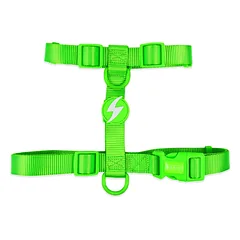 Dashi Neon atšvaitinė petneša - reguliuojama apsauginė petneša šunims, neoninė žalia