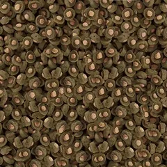 Sera KOI Professional Spirulina Color Food maistas tvenkinio žuvų spalvai pagerinti 2200 g — 2 nuotrauka