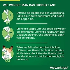Advantage® 40 šunims, iki 4 kg, 4 pipetės x 0,4 ml — 3 nuotrauka