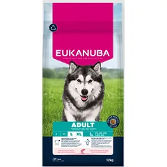 Eukanuba Life Care Adult Large sausas maistas didelių veislių šunims su lašiša ir miežiais, 12 kg