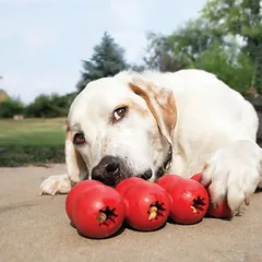 KONG Goodie Ribbon žaislas šunims, Vidutiniams 11–25 kg — 2 nuotrauka