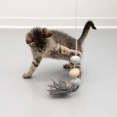 zooplus Exclusive meškerė katėms Flauschi, 1 vnt. — 5 nuotrauka