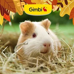 Gimbi Mother Nature Guinea Pig Pellet