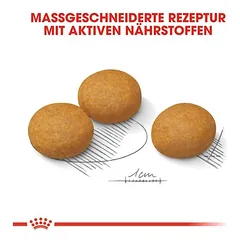 Royal Canin Maxi Dermacomfort sausas maistas šunims — 3 nuotrauka