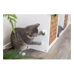 TRIXIE Catnip Ball priklijuojamas katžolės kamuoliukas su laikikliu, 5 cm — 4 nuotrauka