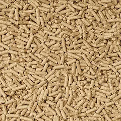 Cat’s Best Universal kraikas, medžio drožlių, 40l, 22kg — 2 nuotrauka
