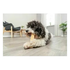 TRIXIE Kramtomas sūrio pagaliukas – Vidutinis, M: 13,5 cm, 75 g (pakuotė 12) — 5 nuotrauka