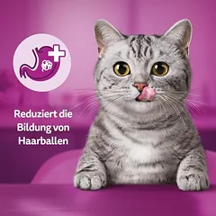 Whiskas Anti-Hairball skanėstai katėms — 4 nuotrauka