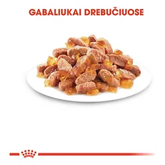 ROYAL CANIN FHN Kitten instinctive in jelly konservai drebučiuose kačiukams 12x85 g — 4 nuotrauka