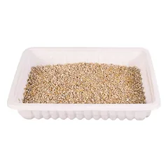 Trixie Cat Grass žolė katėms dubenyje, 100 g — 2 nuotrauka