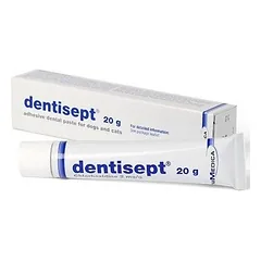 DENTISEPT 20g lipni dantų pasta šunims ir katėms