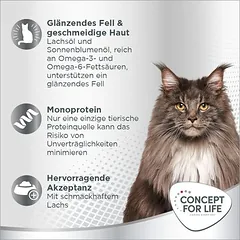 Concept for Life Beauty Cubes skanėstai katėms — 3 nuotrauka