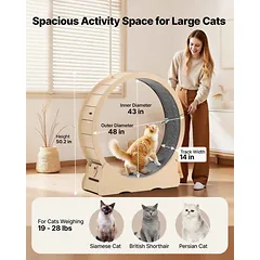 Kačių bėgimo ratas VEVOR, Ø 120 cm, Ø 120 × 127,5 cm — 2 nuotrauka