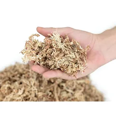 Sphagnum samanos 150g — 2 nuotrauka