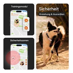 Weenect augintinių GPS sekimo įrenginys XS šunims – be antkaklio — 3 nuotrauka