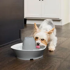 PetSafe Streamside Ceramic Pet Fountain 1.8L - keraminis fontanas katėms ir šunims — 2 nuotrauka
