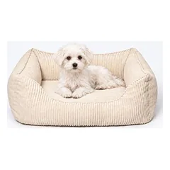 PAW WOW guolis šunims ANTON Cord, smėlio spalvos, Mažiems 5–10 kg — 3 nuotrauka