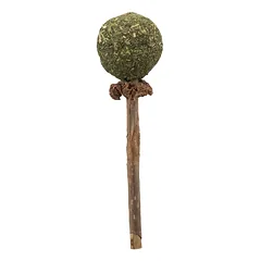 Trixie Matatabi Lolly 11 cm parduotuvėje zooprekes24.lt