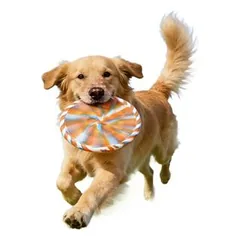FurryFusion Silikon-Frisbee für Hundetraining