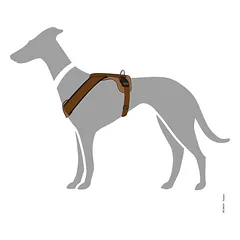 HUNTER NEOPRENE petnešos iš neopreno šunims, S, rudos — 3 nuotrauka