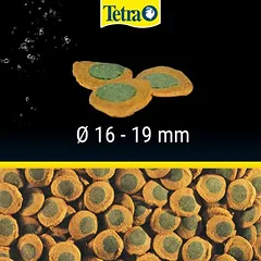 Tetra Pleco Spirulina Wafer