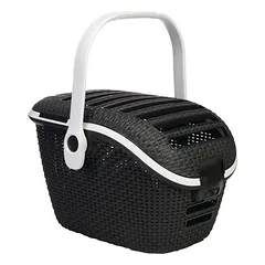 Curver Transport Box