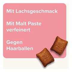 Beaphar Lachs-Bits mit Malt-Paste — 2 nuotrauka