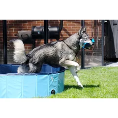 COOLPETS plaukiojimo baseinas augintiniui,  100x25 cm — 4 nuotrauka
