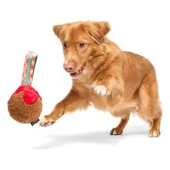 Bark žaislas šunims A Squeaky Meat-A-Ball, apie L 26 x B 15,9 x H 7,6 cm — 2 nuotrauka