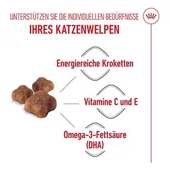 Royal Canin Mother & Babycat sausas maistas katėms, 3 - 4,9 kg — 4 nuotrauka