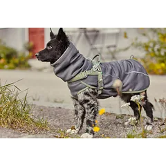 Hurtta Razzle - Dazzle Reflective Figures - reflective set for collars, leashes, and harnesses — 4 nuotrauka