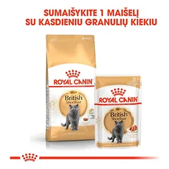 Royal Canin British Shorthair šlapias maistas katėms 12x85g — 2 nuotrauka
