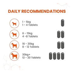 VETZYME Conditioning papildas šunims N100 — 3 nuotrauka