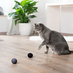 Cosma Wollbälle zum Spielen