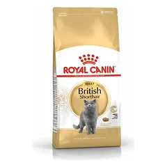 Royal Canin British Shorthair sausas ėdalas suaugusioms katėms, 4 kg