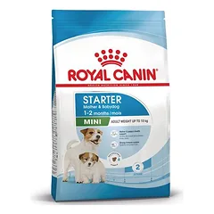 Royal Canin Mini Starter Mother & Babydog