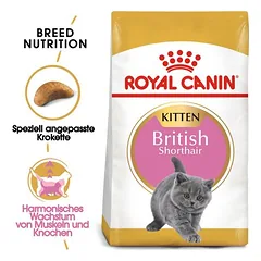Royal Canin British Shorthair Kitten