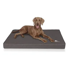 Knuffelwuff Orthopädische Hundematte Nantucket aus Velours
