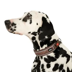TIAKI Soft & Safe antkaklis, rudas, Dideliems 26–45 kg — 4 nuotrauka