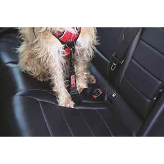 KONG Seat Belt – saugos diržas šunims — 4 nuotrauka