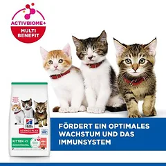Hill's Science Plan Kitten <1 su lašiša, sausas maistas kačiukams, 5 - 9,9 kg — 4 nuotrauka