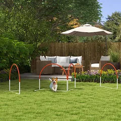 Agility rinkinys šunims, 4 dalių, su nešiojimo krepšiu, plastikas, 89 x 69 x 99 cm, baltas ir oranžinis — 2 nuotrauka