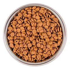 Monge BWild sausas maistas kačiukams su žąsiena 1.5 kg — 2 nuotrauka