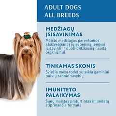 OPTIMEAL ™ Visavertis konservuotas pašaras suaugusiems šunims su lašiša ir mėlynėmis kreminiame padaže 12x0.1 kg — 2 nuotrauka