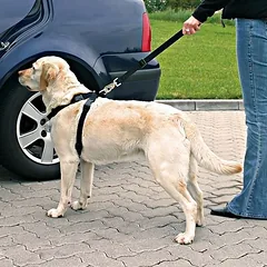 Trixie šuns saugos diržas su petnešomis L