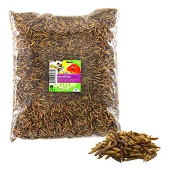 Džiovintos lervos 1kg