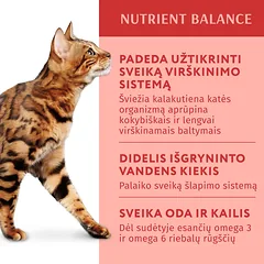 OPTIMEAL ™ konservuotas pašaras suaugusioms katėms su kalakutiena moliūgų padaže 12x0.085 kg — 2 nuotrauka