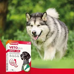 beaphar VETOplus SPOT-ON vidutinio dydžio šunims — 2 nuotrauka